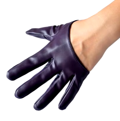 Sexy Deep Purple Domination Leather Gloves