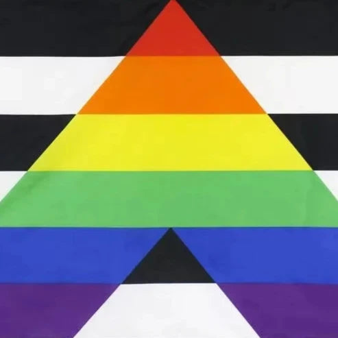 Straight Allies Pride Flag: LGBTQIA+ Raindbow & Black White Stripes Banner