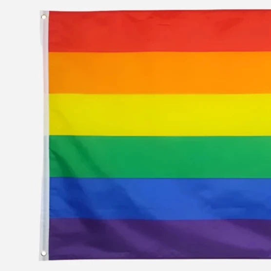 Regular LGBT Flag: Gay Pride Rainbow Banner