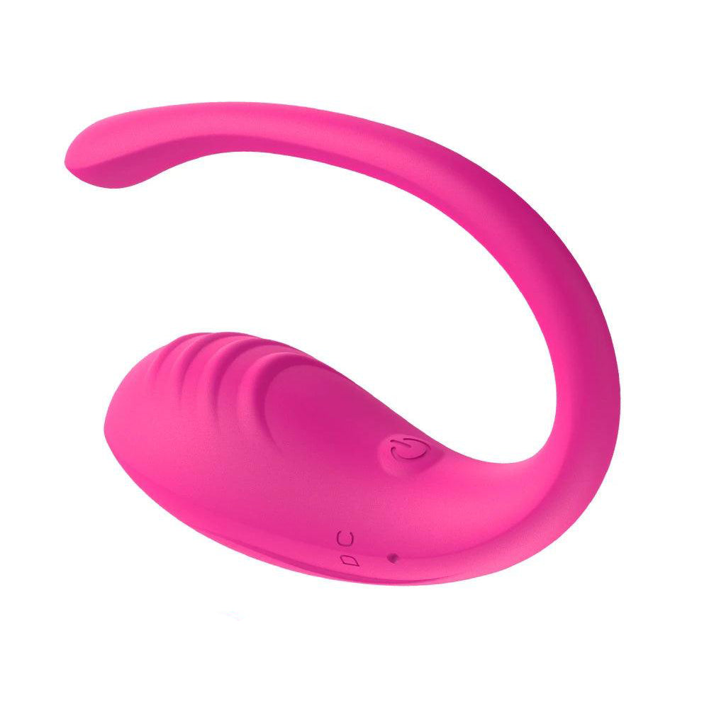 Bluetooth Remote Control Vaginal Vibrator: 9 Speed Vibrating Sex Toy